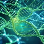 Several DNA strands in green color.